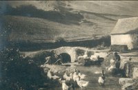 DocPictures/1893_8dle1kw.jpg
