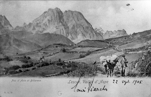 DocPictures/BillareEtPicDAnie-EBergez.jpg