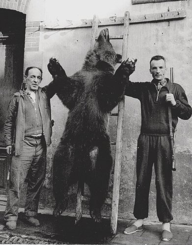 DocPictures/Francois_Carles_et_lours1955.jpg